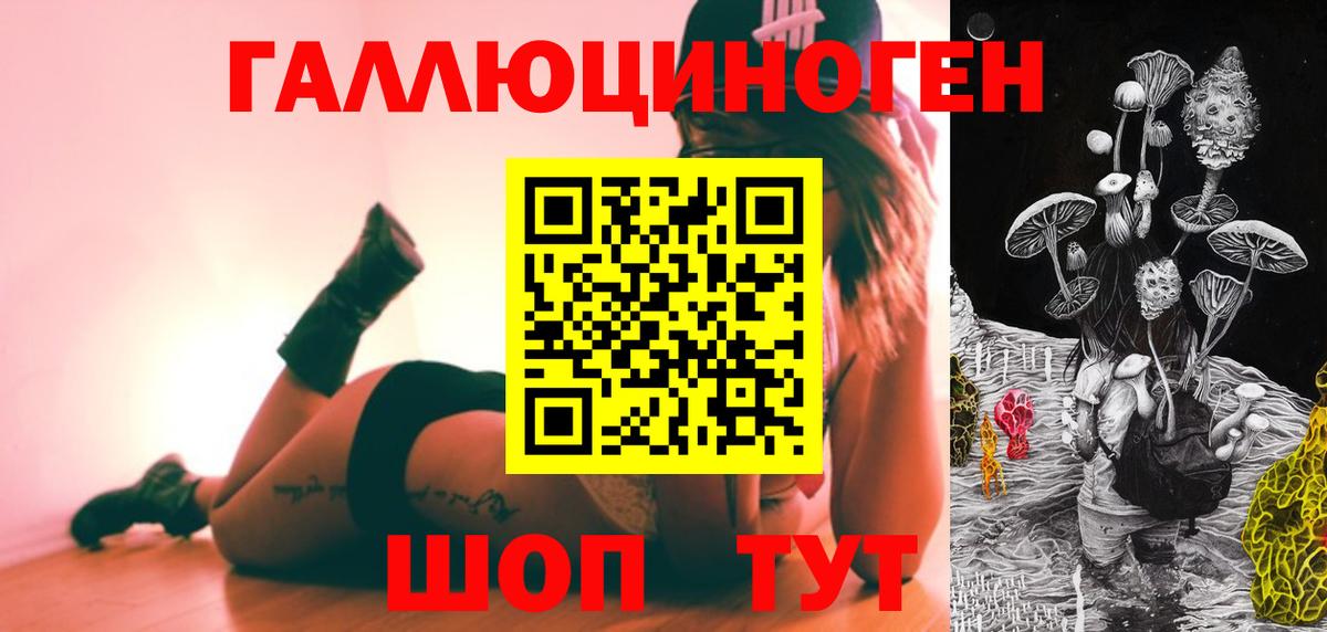 Галлюциногенные грибы Psilocybe Можга